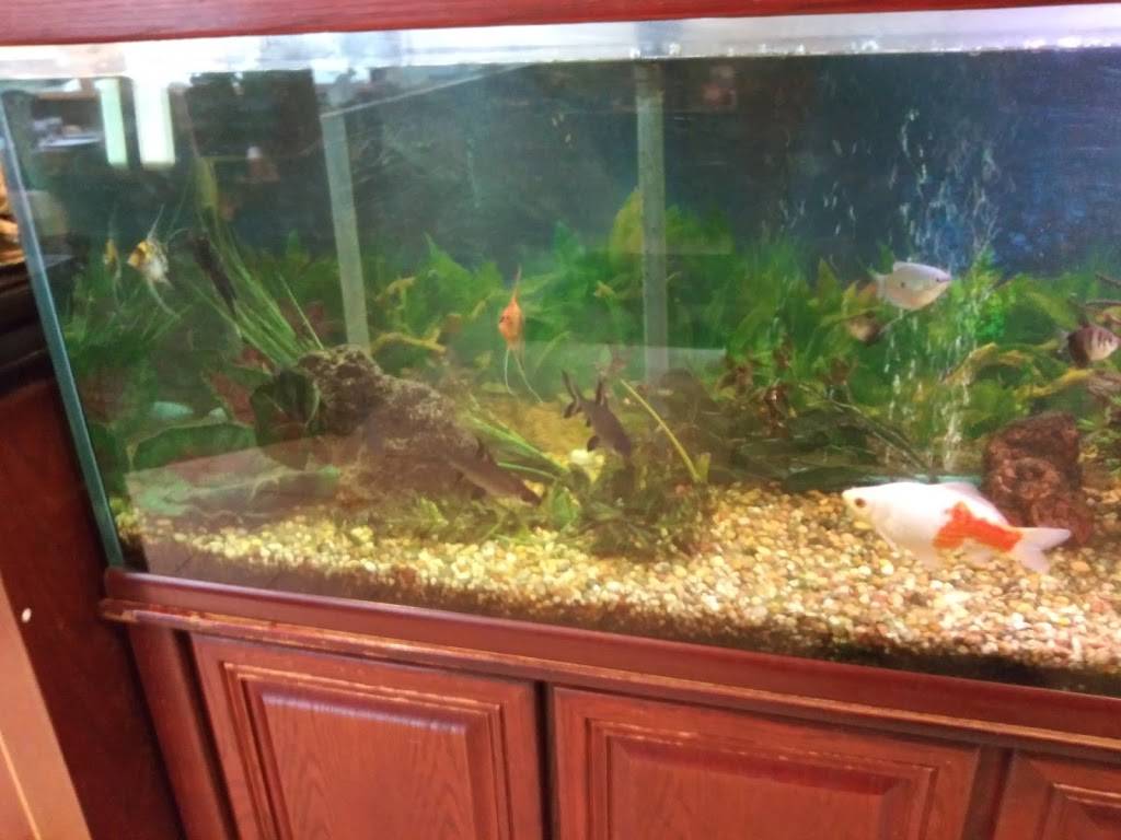 Twin Dragon | restaurant | 15321 Main St NE, Duvall, WA 98019, USA | 4257885519 OR +1 425-788-5519