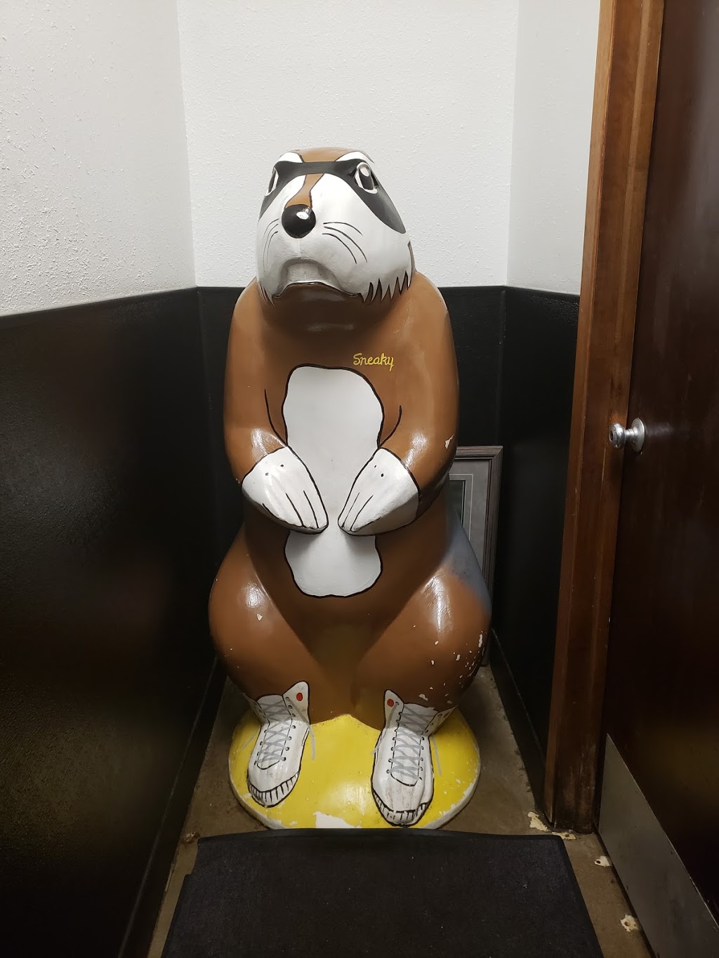 Sneakys Chicken | restaurant | 3711 Gordon Dr, Sioux City, IA 51106, USA | 7122520522 OR +1 712-252-0522