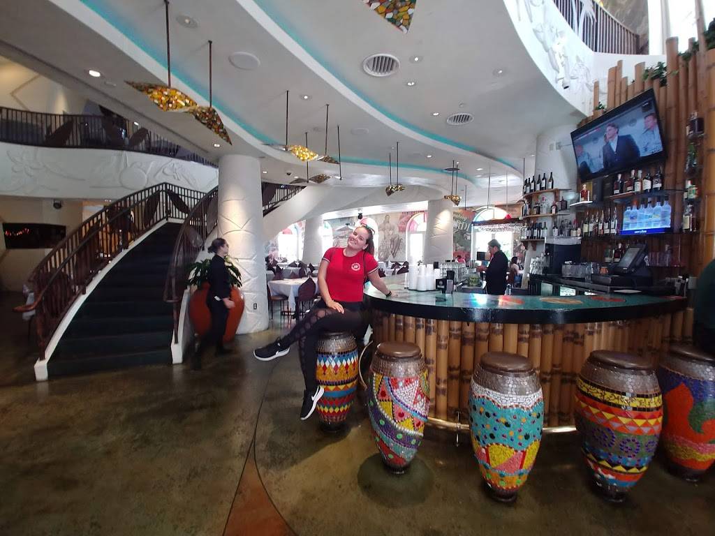 Bongos | Cuban Cafe | cafe | 3269 Margaritaville Blvd, Kissimmee, FL 34747, USA | 4078280999 OR +1 407-828-0999