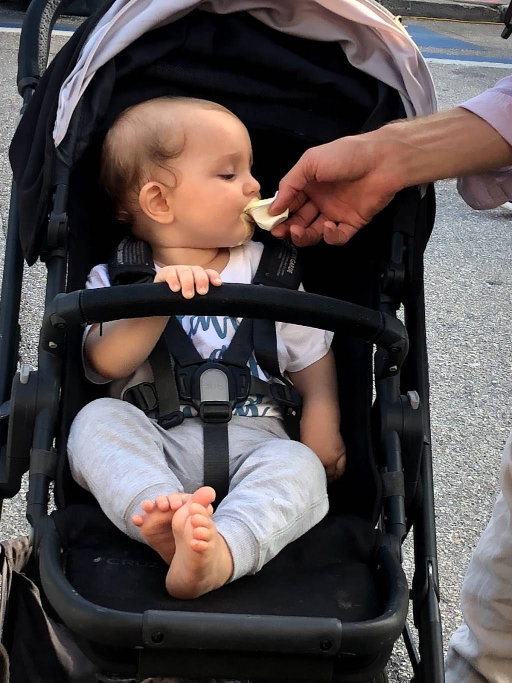 Dairy Free Creamery by Simply Organix | restaurant | 380 Old Englewood Rd, Englewood, FL 34223, USA | 9416232573 OR +1 941-623-2573