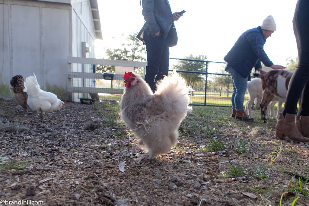 Congaree and Penn | restaurant | 11830 Old Kings Rd, Jacksonville, FL 32219, USA | 9045271945 OR +1 904-527-1945