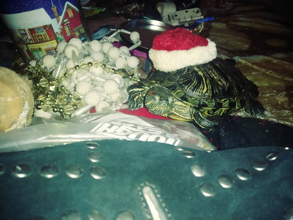 Burger Hill | restaurant | 3850 W Clarendon Dr, Dallas, TX 75211, USA | 2143318303 OR +1 214-331-8303