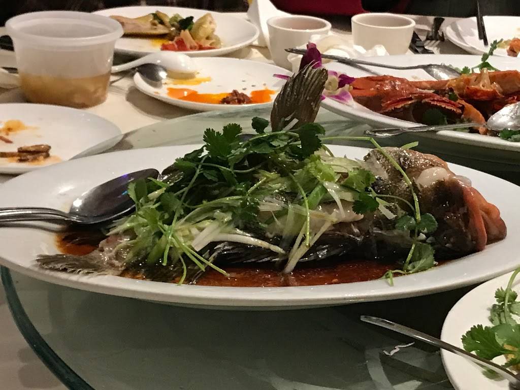 御膳居 | restaurant | 320 Jackson St, Hayward, CA 94544, USA | 5108818468 OR +1 510-881-8468