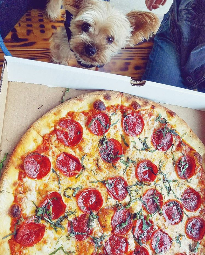 ZaLat Pizza Fitzhugh Dallas | restaurant | 2519 N Fitzhugh Ave, Dallas, TX 75204, USA | 2143709786 OR +1 214-370-9786