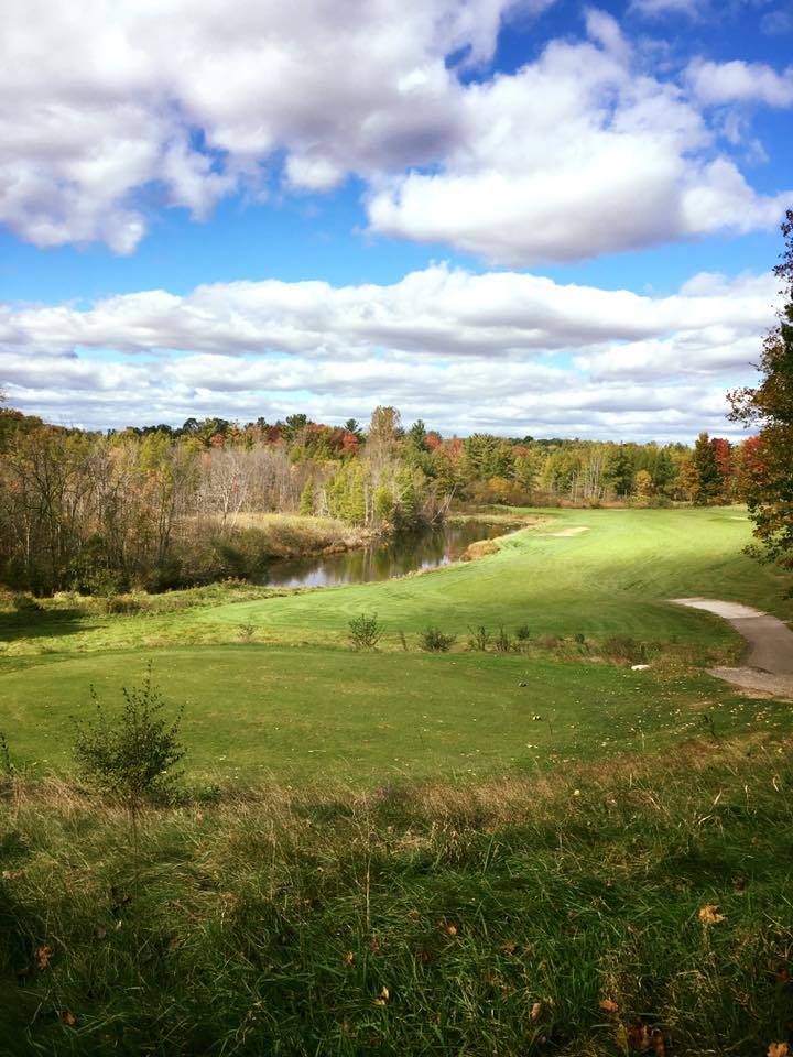 Brookside Golf & Grill | restaurant | 1518 Johnson Rd, Gowen, MI 49326, USA | 6169842381 OR +1 616-984-2381