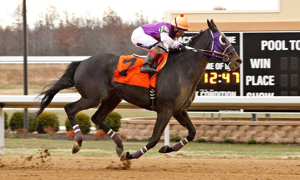 Hollywood Gaming at Mahoning Valley Race Course | night club | 655 N Canfield Niles Rd, Youngstown, OH 44515, USA | 8777883777 OR +1 877-788-3777