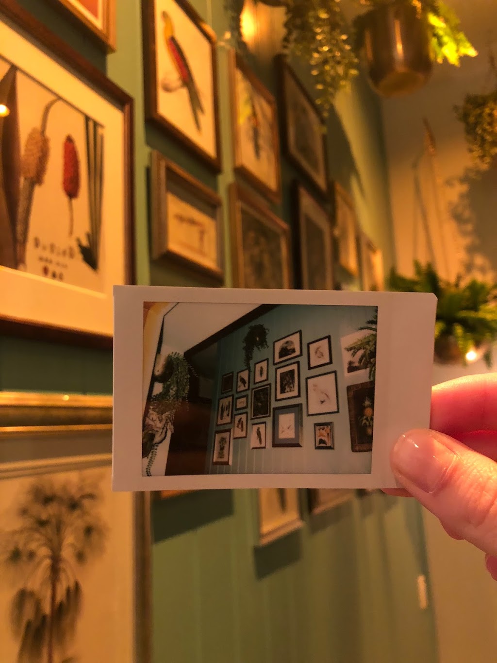 Joliet Restaurant & Bar | restaurant | 12751 Millennium Dr Ste 5 -165, Playa Vista, CA 90094, USA | 2132862675 OR +1 213-286-2675