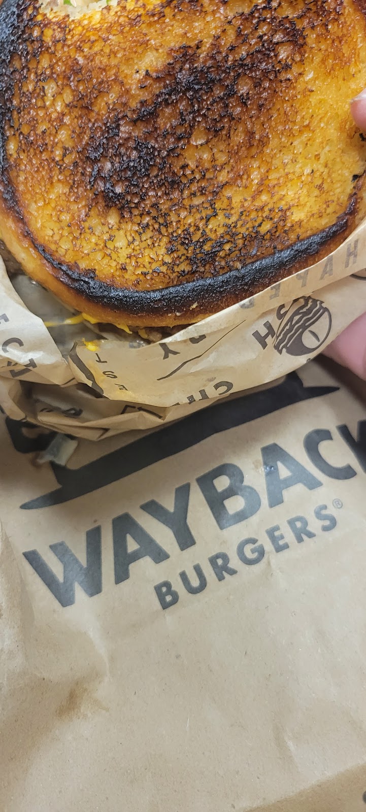 Wayback Burgers | restaurant | 5585 Hamilton Blvd, Allentown, PA 18106, USA | 4842746348 OR +1 484-274-6348