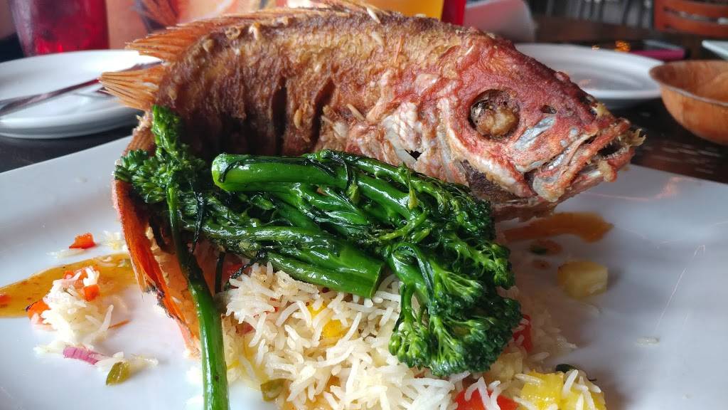 Hungry Tarpon Restaurant | restaurant | 77522 Overseas Hwy, Islamorada, FL 33036, USA | 3056640535 OR +1 305-664-0535