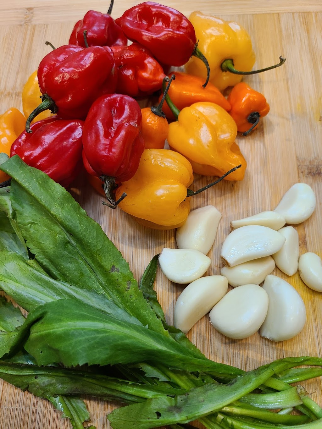 zazzascuisine | restaurant | 1311 S 1st St, Austin, TX 78704, USA | 8662929927 OR +1 866-292-9927