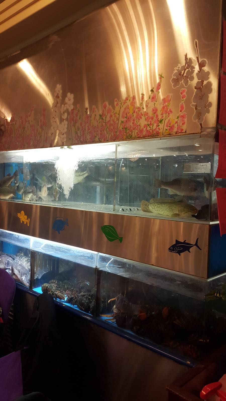 NY New Star | restaurant | 6022 8th Ave, Brooklyn, NY 11220, USA | 7184926888 OR +1 718-492-6888