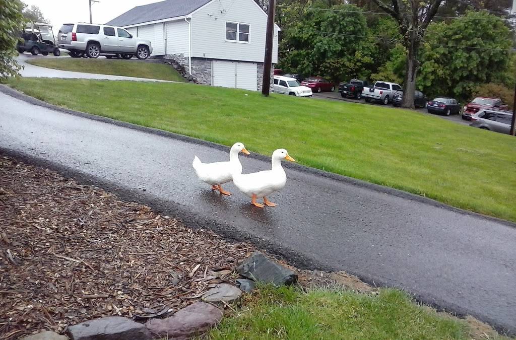 Sugarloaf Golf Club | restaurant | 18 Golf Course Road, Sugarloaf, PA 18249, USA | 5703844097 OR +1 570-384-4097