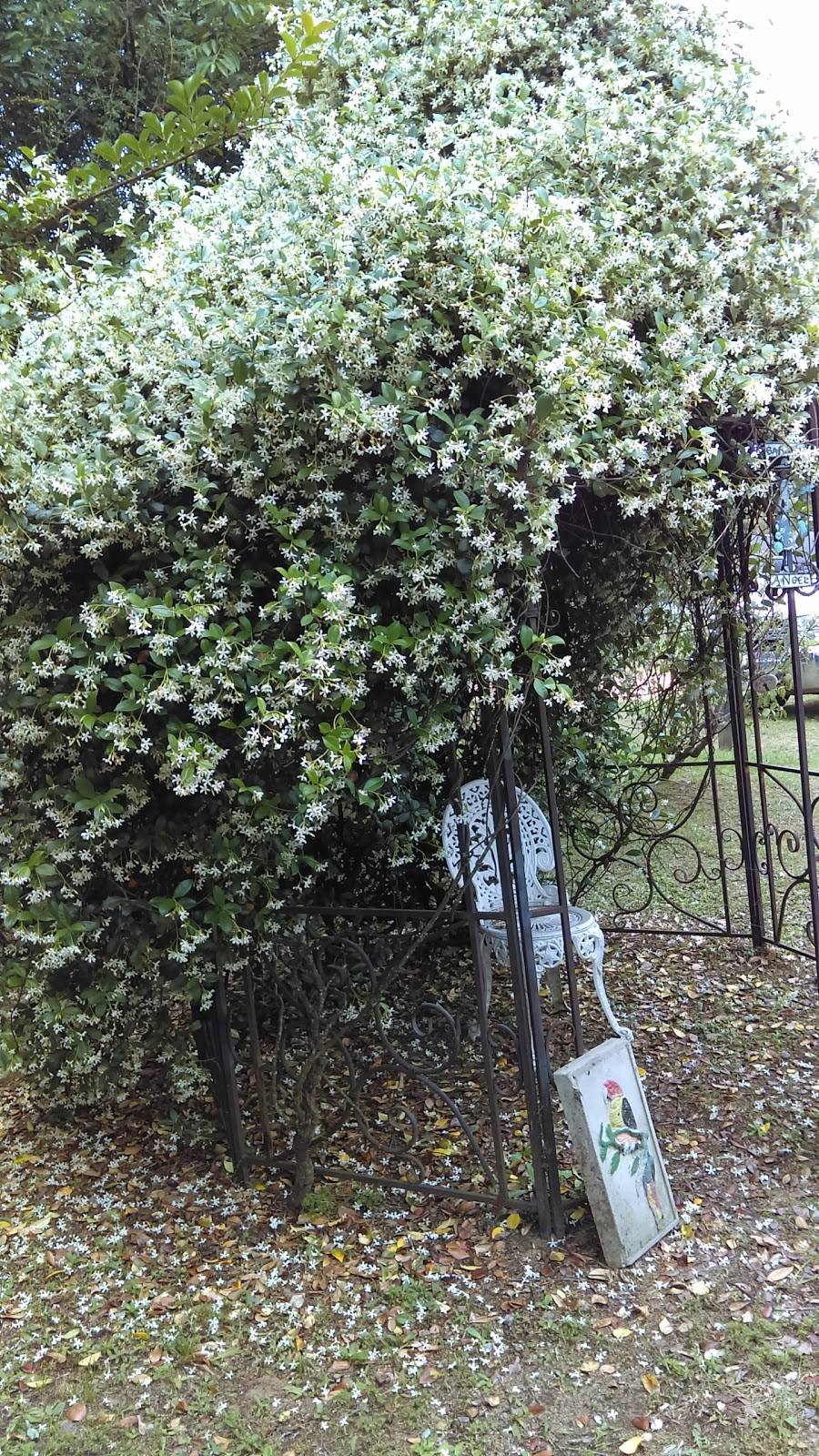 Mid Towne Cafe | restaurant | 7210 Festival Trail Rd, Springfield, SC 29146, USA | 8032589105 OR +1 803-258-9105