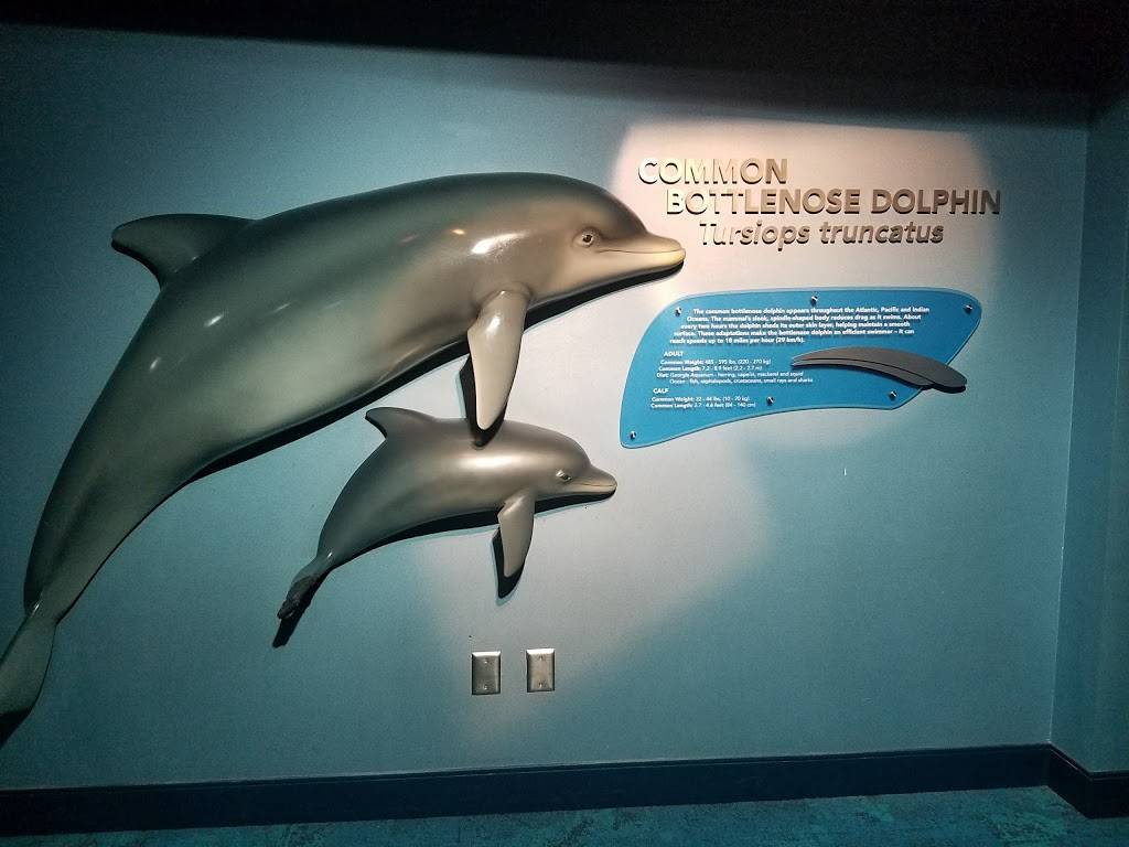 Joes Bar & Grill | restaurant | 2531 Gresham Rd S E, Atlanta, GA 30316, USA | 4042461515 OR +1 404-246-1515