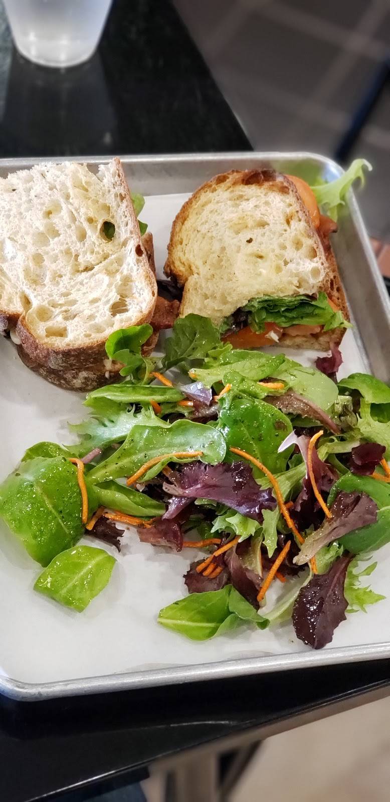 Purple Onion | cafe | 1167 Lincoln Ave, San Jose, CA 95125, USA | 4087539492 OR +1 408-753-9492