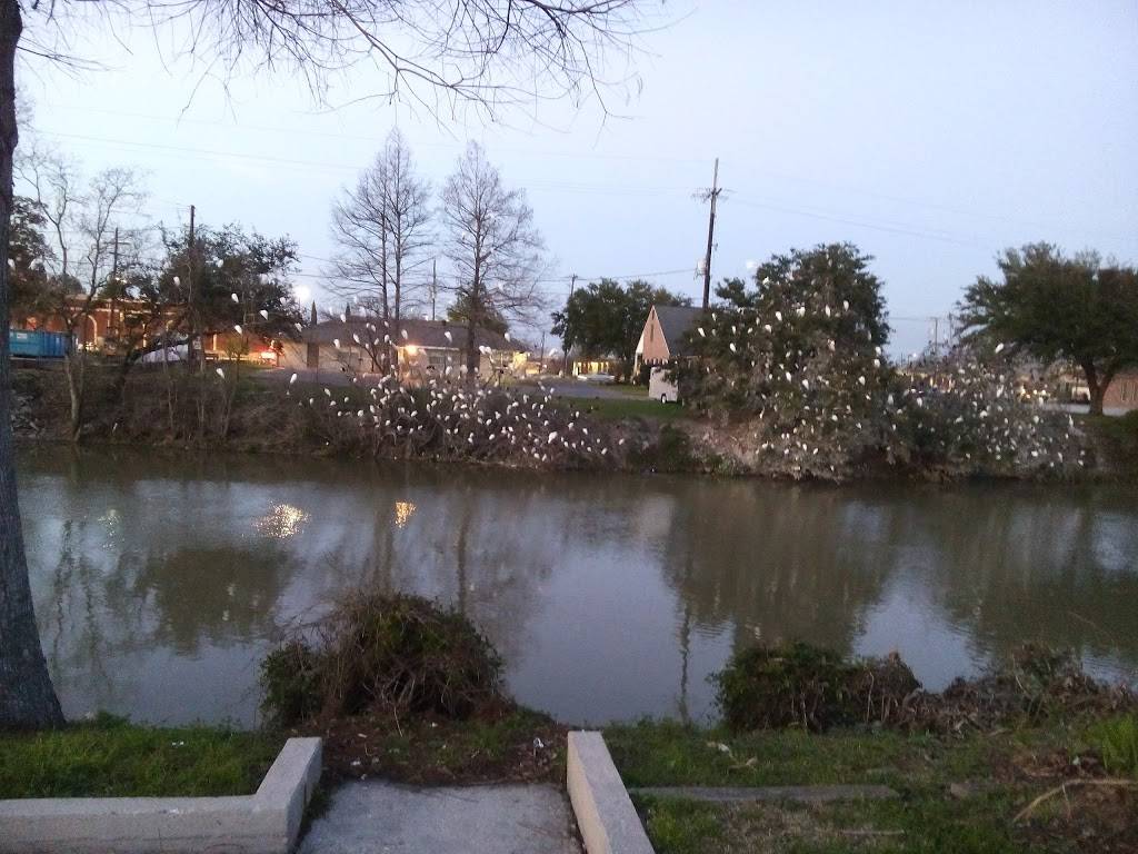 Burger King | restaurant | 206 E 1st St, Thibodaux, LA 70301, USA | 9852721843 OR +1 985-272-1843