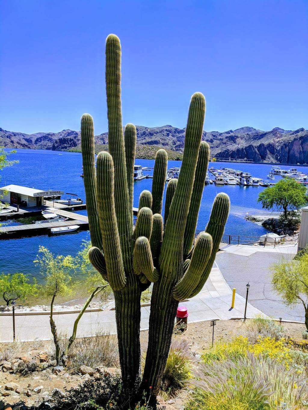 Lakeshore Restaurant | restaurant | 14011 N Bush Hwy #2, Mesa, AZ 85215, USA | 4809845311 OR +1 480-984-5311