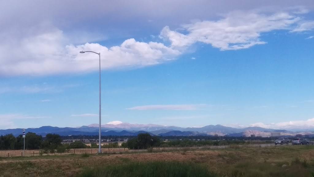 Le Peep® Centennial | restaurant | 15352 E Ida Dr, Centennial, CO 80015, USA | 3037662277 OR +1 303-766-2277