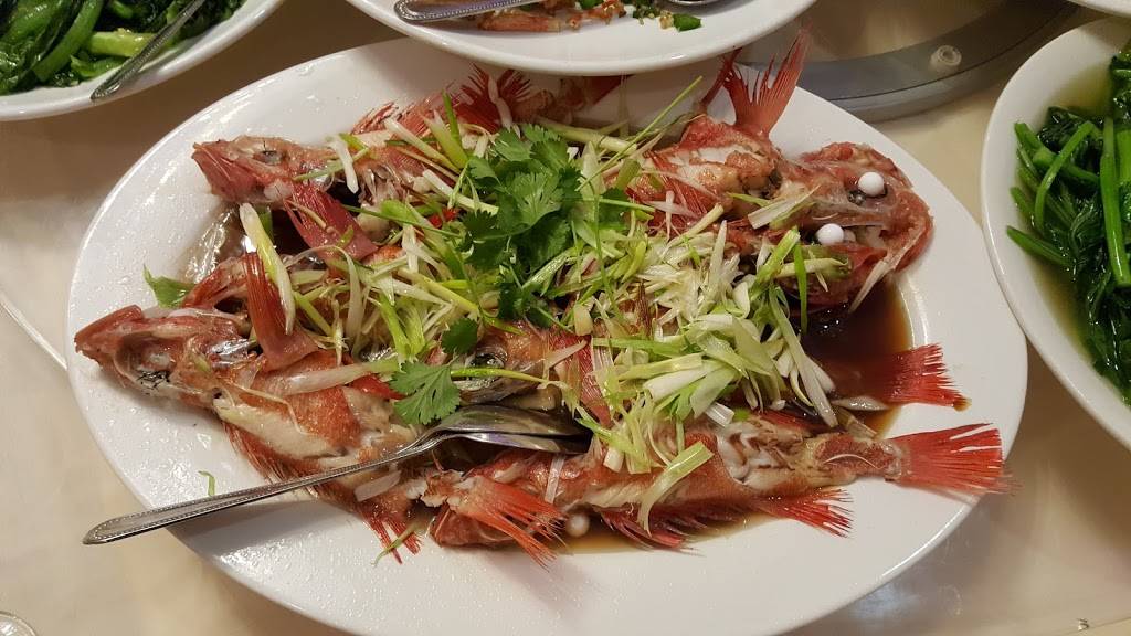 Dynasty | restaurant | 1001 Story Rd, San Jose, CA 95122, USA | 4082866668 OR +1 408-286-6668