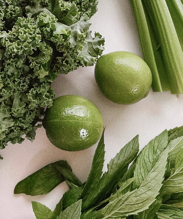 Evvo | restaurant | 340 Orange St, New Haven, CT 06511, USA | 8603577263 OR +1 860-357-7263