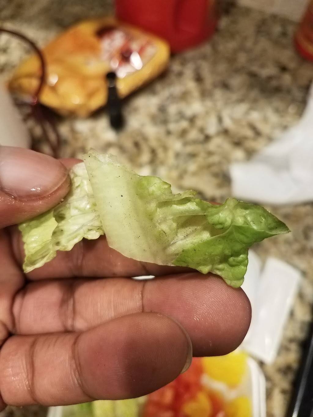 Hungry Howies Pizza | meal delivery | 5802 N Armenia Ave, Tampa, FL 33603, USA | 8138706111 OR +1 813-870-6111