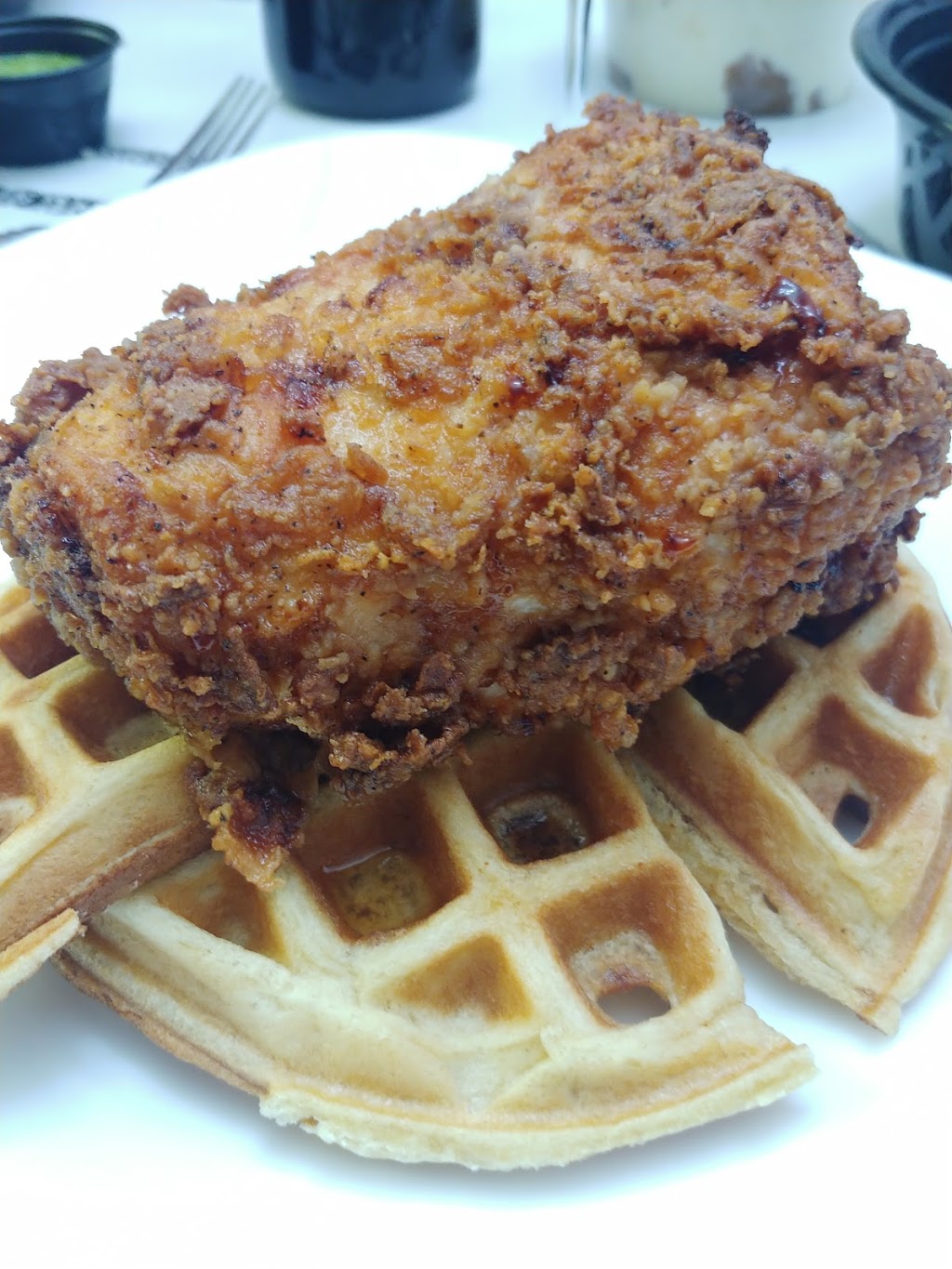 The Spirit Room | restaurant | 139 State St, Rochester, NY 14614, USA | 5853977595 OR +1 585-397-7595