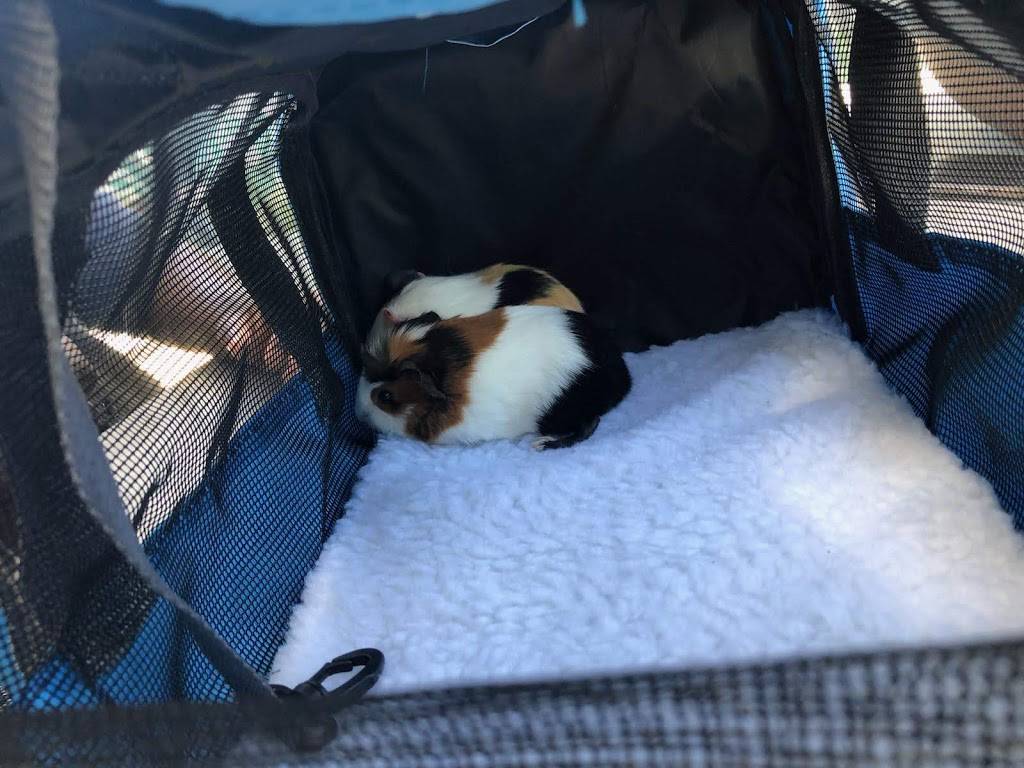 Churchs Chicken | restaurant | 3303 Rivers Ave, North Charleston, SC 29405, USA | 8434104715 OR +1 843-410-4715