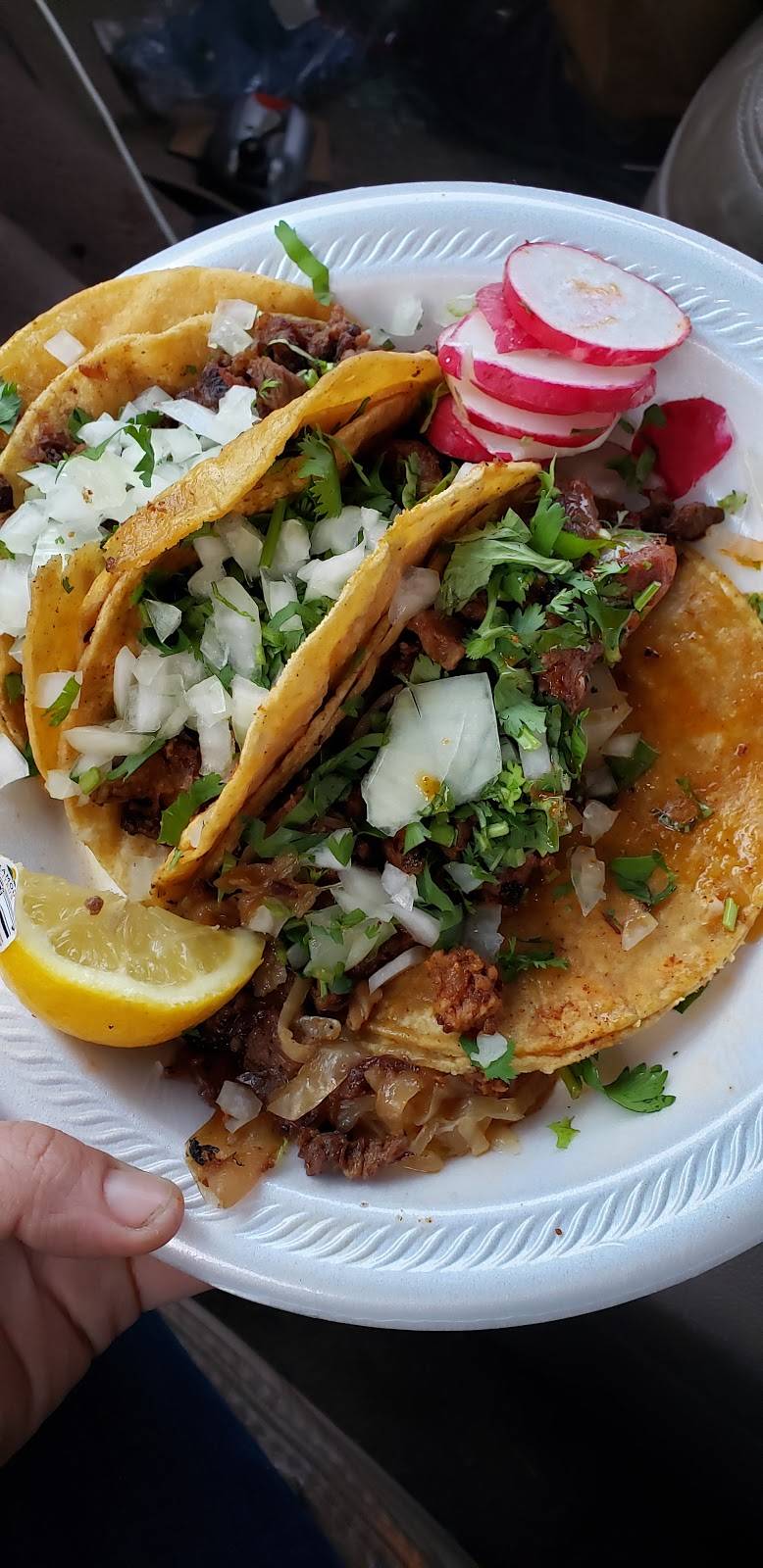 El Parian | restaurant | 6680 Dix St, Detroit, MI 48209, USA | 3134606907 OR +1 313-460-6907