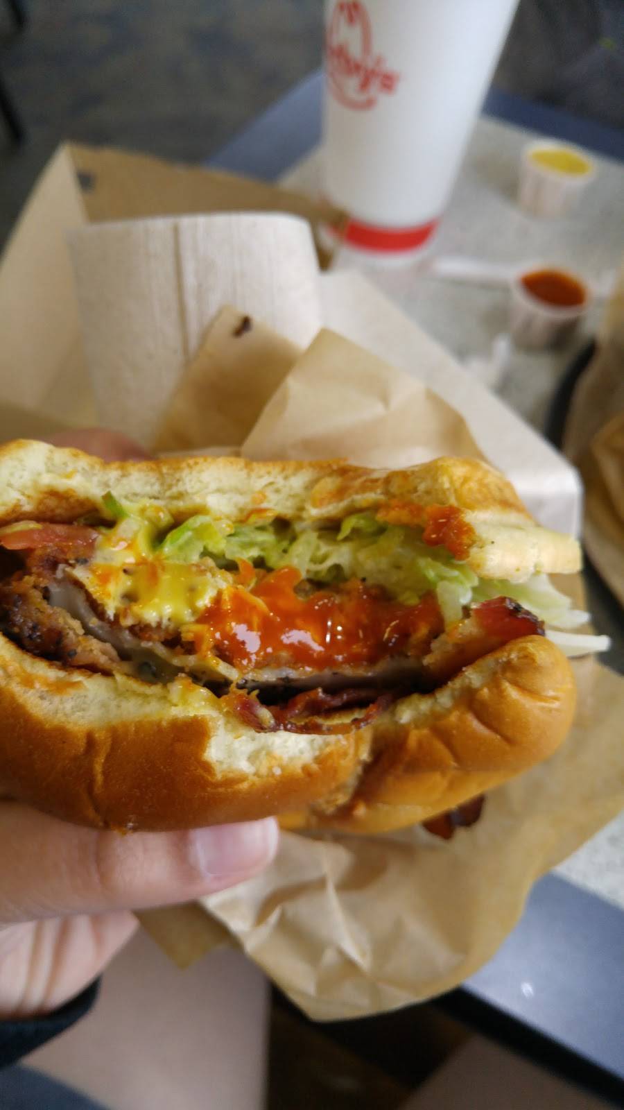 Arbys | restaurant | 700 Chicago Dr, Holland, MI 49423, USA | 6163964227 OR +1 616-396-4227