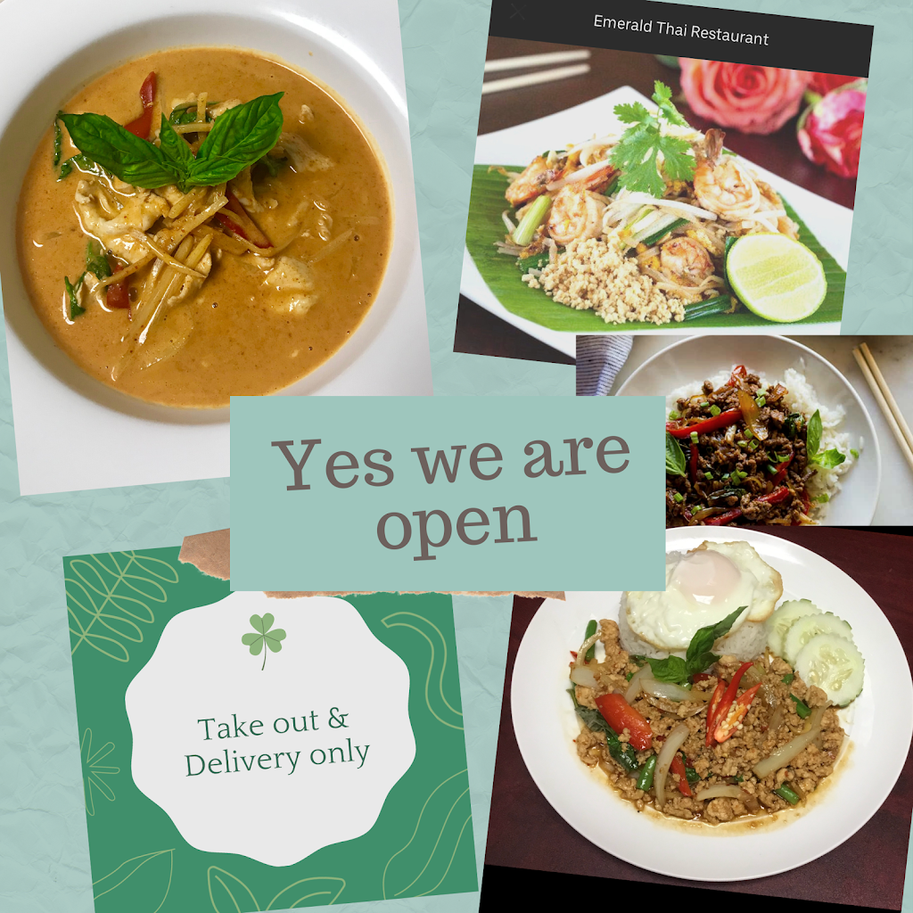 Emerald Thai Restaurant | restaurant | 8500 W State Rd 84, Davie, FL 33324, USA | 9544743769 OR +1 954-474-3769