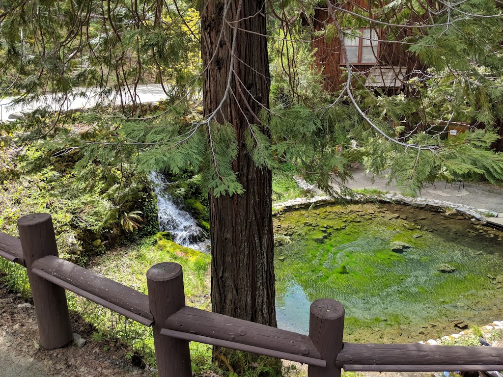 Chateau at the Oregon Caves | restaurant | 20000 Caves Hwy, Cave Junction, OR 97523, USA | 5415923400 OR +1 541-592-3400