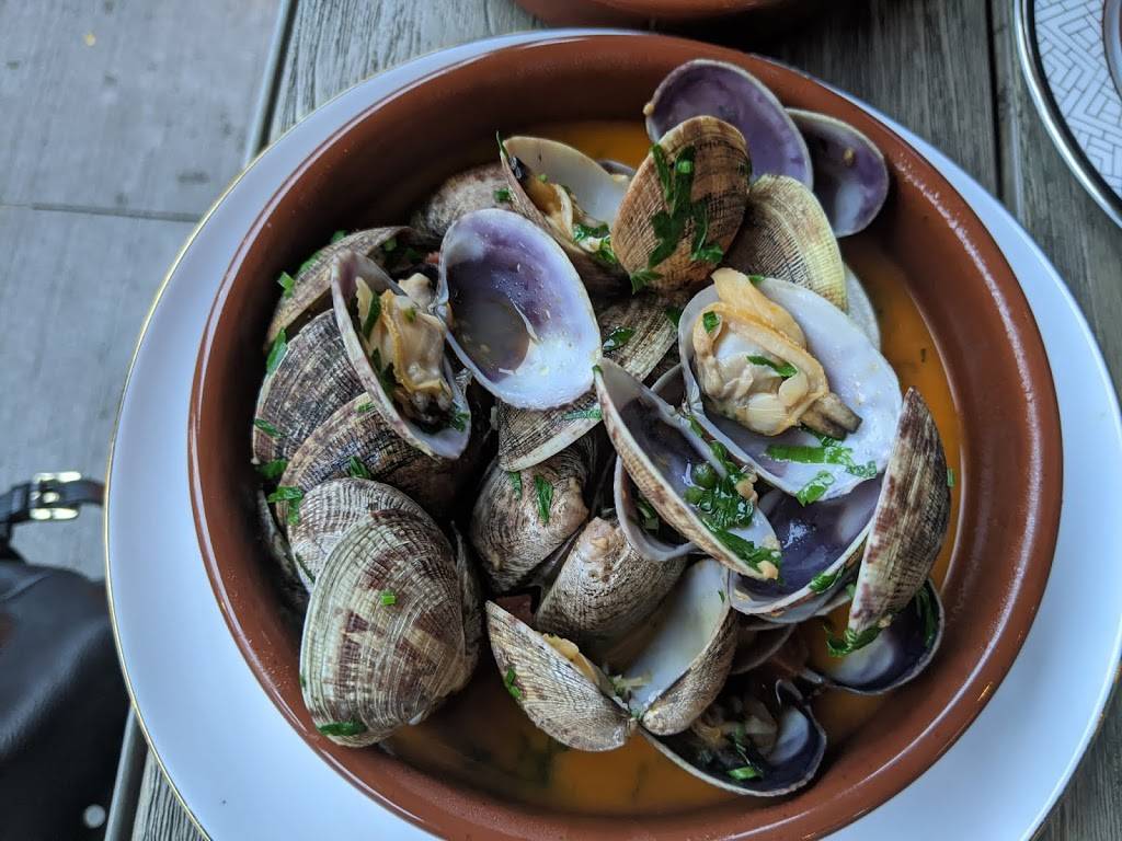 Atlántico | restaurant | 600 Harrison Ave, Boston, MA 02118, USA | 8572332898 OR +1 857-233-2898