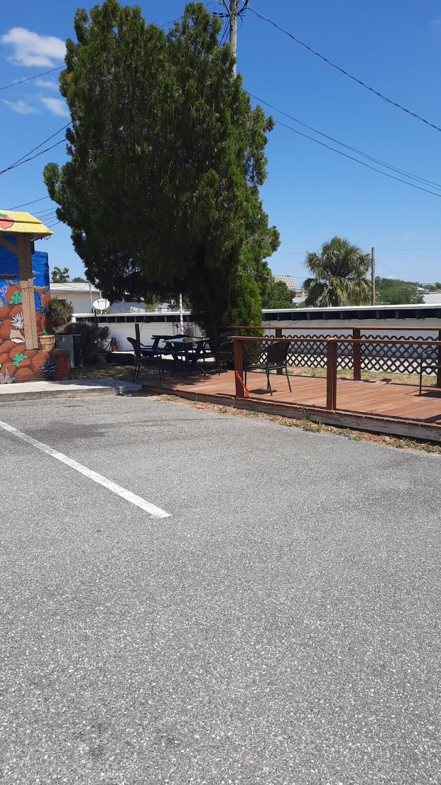 LIVE BLUE CRABS | restaurant | 300 E Hinson Ave, Haines City, FL 33844, USA | 8635478574 OR +1 863-547-8574