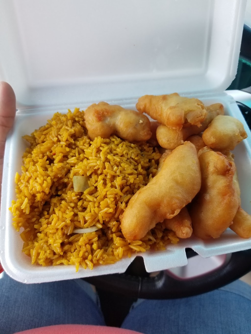 China Town | restaurant | 1247 US-231, Troy, AL 36079, USA | 3345667992 OR +1 334-566-7992