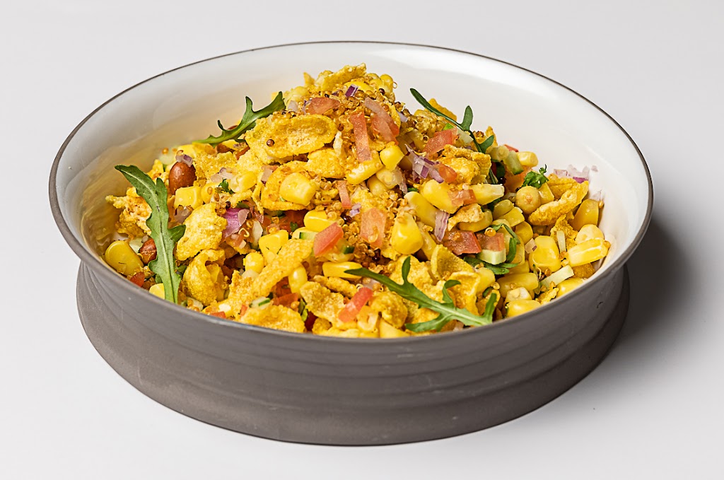 Indian Chaat Factory | restaurant | 7105 Emlen St, Philadelphia, PA 19119, USA | 2156787630 OR +1 215-678-7630