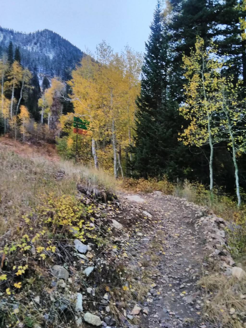 Creekside Cafe and Grill | cafe | 8880 Gad Valley Dr, Snowbird, UT 84092, USA | 8019332222 OR +1 801-933-2222