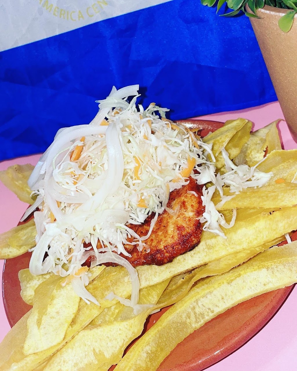 DELICIAS NICAA | meal delivery | 18123 SW 153rd Pl, Miami, FL 33187, USA | 8014251408 OR +1 801-425-1408