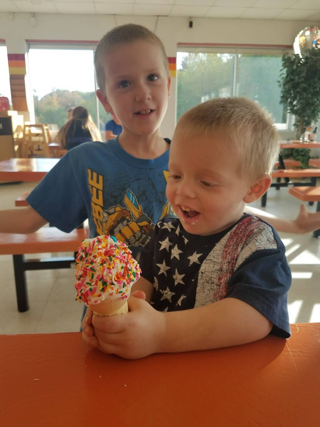 Frozen Dee Lite | restaurant | 16508 US-422, Garrettsville, OH 44231, USA | 4405482800 OR +1 440-548-2800