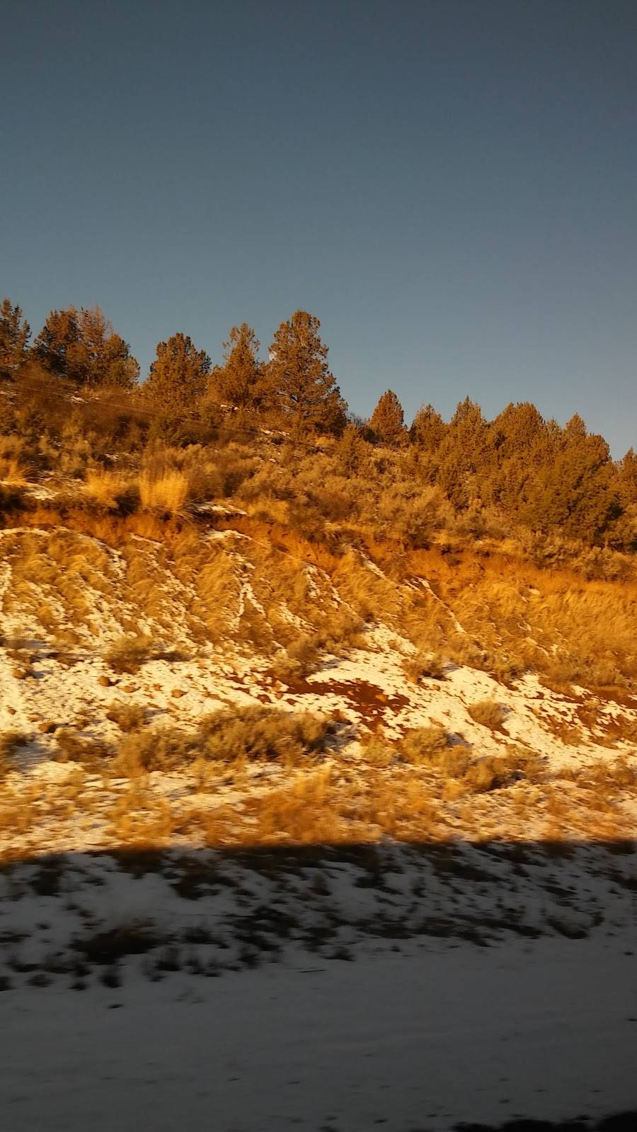 Nations Giant Burgers | restaurant | 2525-2599, CA-29, Vallejo, CA 94590, USA | 7075548888 OR +1 707-554-8888