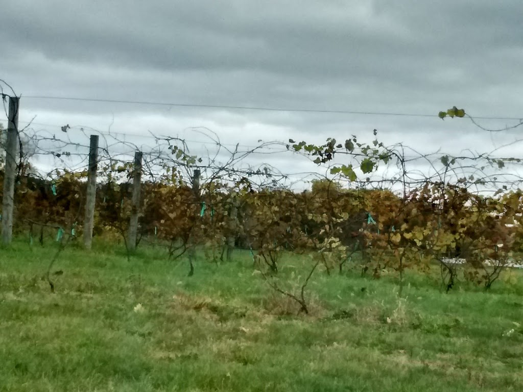 Briali Winery | restaurant | 102 IN-120, Fremont, IN 46737, USA | 2604951919 OR +1 260-495-1919