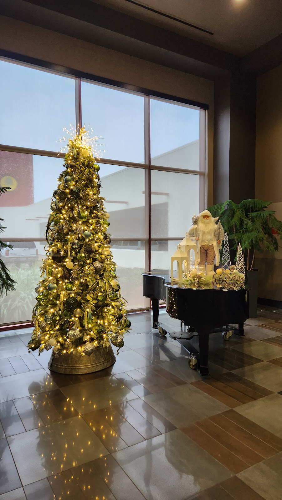 Cypress Bayou Casino Hotel | restaurant | 832 Martin Luther King Rd, Charenton, LA 70523, USA | 3379237284 OR +1 337-923-7284