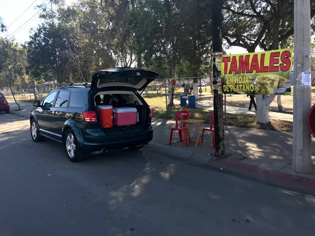 TAMALES ANDREA - Otay Tecnologico | restaurant | Avenida Universidad, Indeco Universidad, 22427 Tijuana, B.C., Mexico | 016645076375 OR +52 664 507 6375