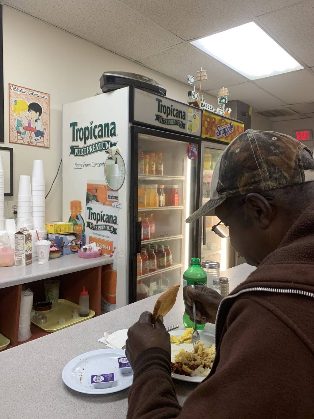 Skyline Restaurant | restaurant | 5655 Chew Ave, Philadelphia, PA 19138, USA | 2158490170 OR +1 215-849-0170