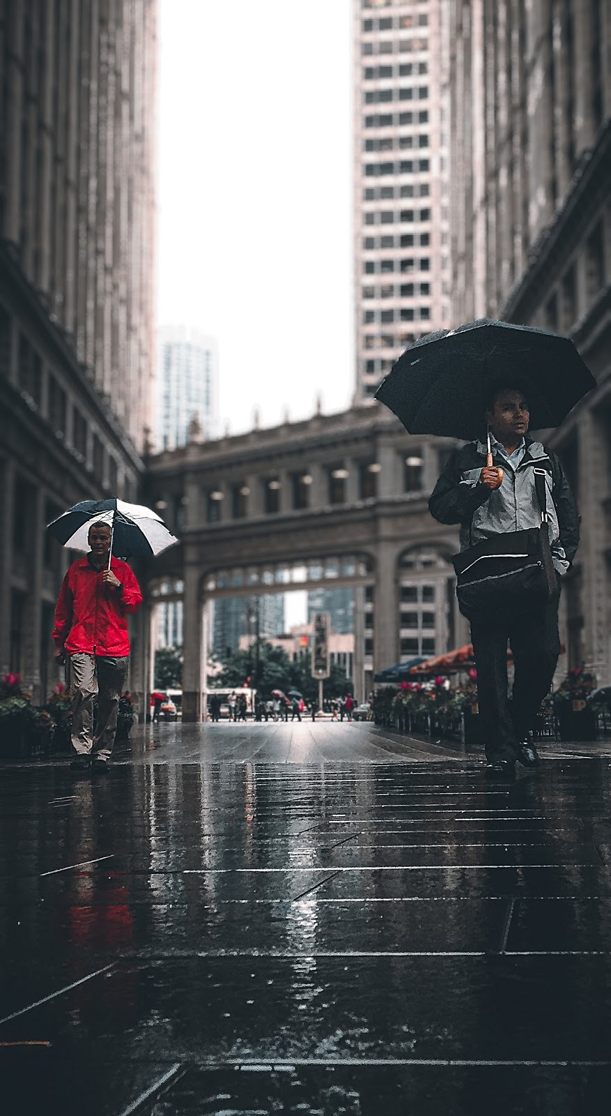 Hoots at the Fields | restaurant | 4059 W Diversey Ave, Chicago, IL 60639, USA | 3312404668 OR +1 331-240-4668