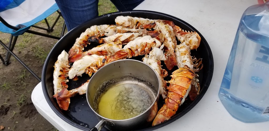 ODalys Hole in the Wall | restaurant | 562 Dauphin St, Mobile, AL 36602, USA | 2517256429 OR +1 251-725-6429