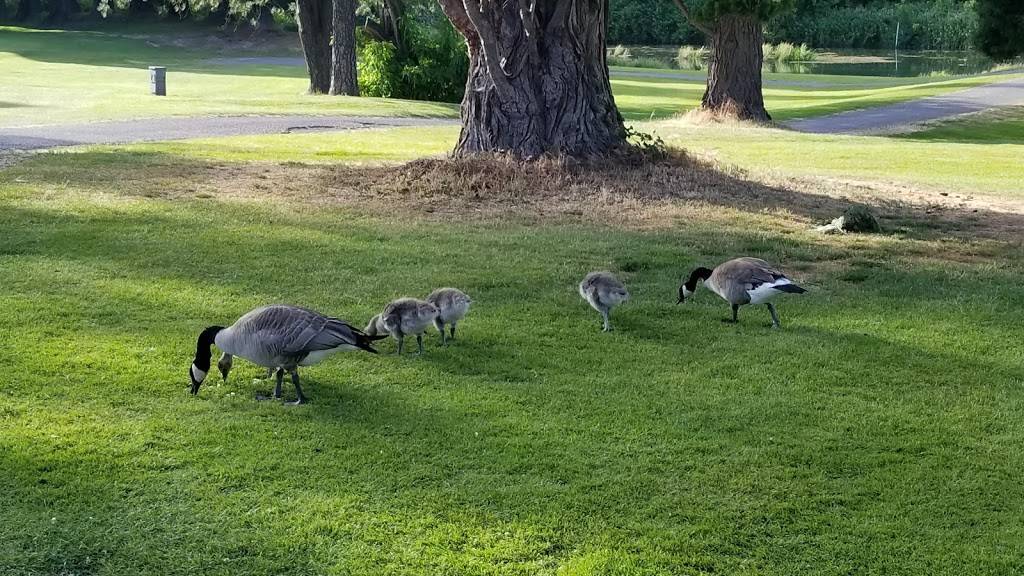 Broadmoor Golf Course | restaurant | 3509 NE Columbia Blvd, Portland, OR 97211, USA | 5032811337 OR +1 503-281-1337