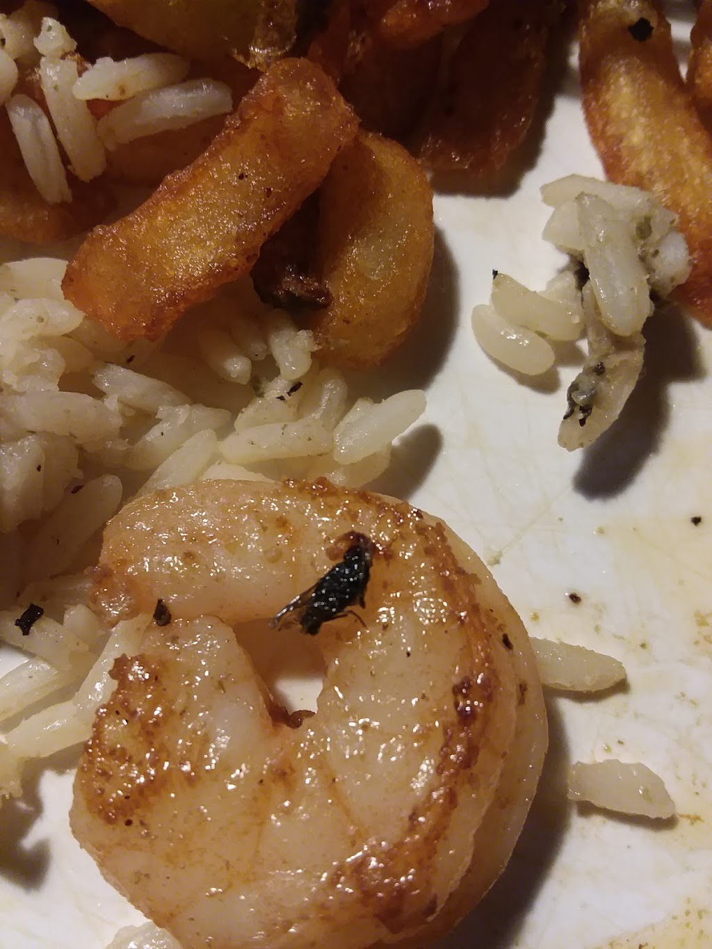 Beef O Bradys | restaurant | 1408 Tallahassee Hwy Suite J, Bainbridge, GA 39819, USA | 2292468488 OR +1 229-246-8488