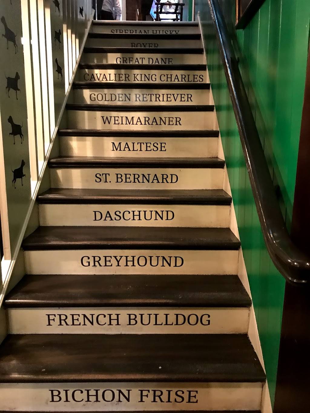 White Dog Cafe | restaurant | 3420 Sansom St, Philadelphia, PA 19104, USA | 2153869224 OR +1 215-386-9224