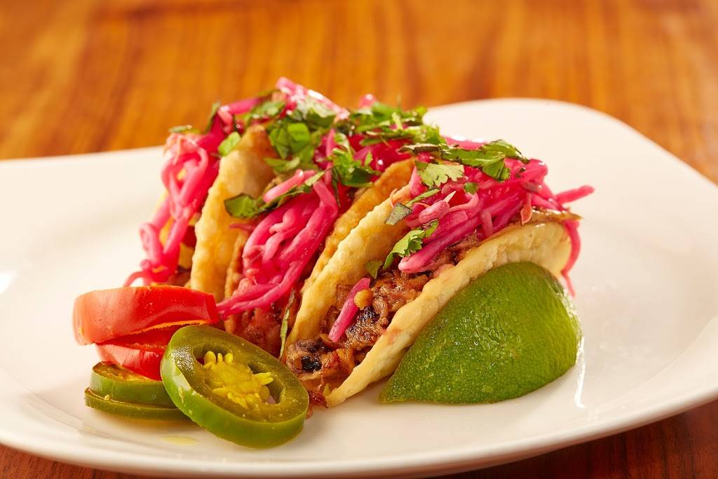 Malai Kitchen | restaurant | 5289 Monahans Avenue, Fort Worth, TX 76109, USA | 6827073959 OR +1 682-707-3959