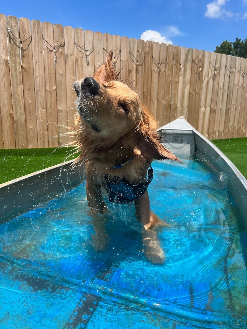 The Bark | restaurant | 601 Lamar St, Knoxville, TN 37917, USA | 8654443894 OR +1 865-444-3894